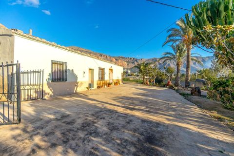 Finca i Orihuela, Alicante, Orihuela - € 250.000 | Ref: AG19MLSC3325890 - foto 24