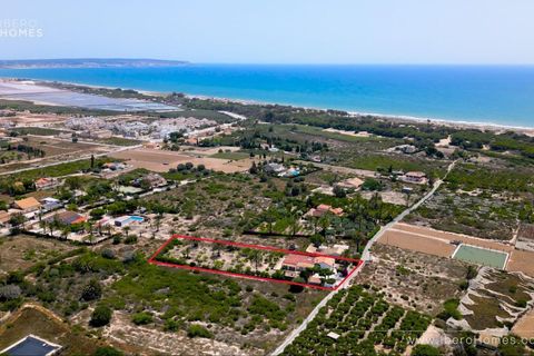 Finca i La Marina, Alicante, La Marina - € 539.000 | Ref: AG19MLSC3880285 - foto 2