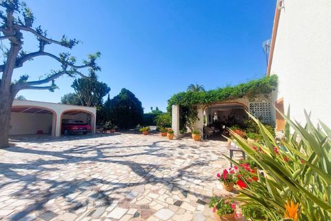 Finca i La Marina, Alicante, La Marina - € 539.000 | Ref: AG19MLSC3880285 - foto 6
