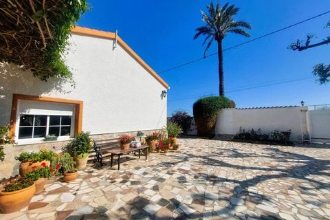 Finca i La Marina, Alicante, La Marina - € 539.000 | Ref: AG19MLSC3880285 - foto 9