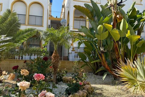 Bungalou a Torrevieja, Alicante, Torrevieja - € 273.000 | Ref: AG19MLSC4777202 - foto 18