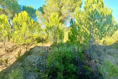 Villa i Antuzede e Vil de Matos, Coimbra, Antuzede e Vil de Matos - € 420.000 | Ref: CAS_499 - foto 43