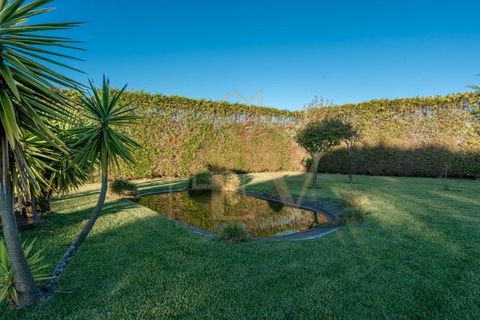 Villa i Apulia, Braga, Apulia - € 995.000 | Ref: ms-011 - foto 7