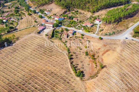 Farm i Macao, Santarem, Macao - € 330.000 | Ref: SA521 - foto 1