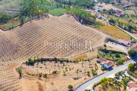 Farm i Macao, Santarem, Macao - € 330.000 | Ref: SA521 - foto 2