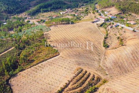 Farm i Macao, Santarem, Macao - € 330.000 | Ref: SA521 - foto 3