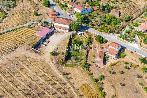 Farm i Macao, Santarem, Macao - € 330.000 | Ref: SA521 - foto 6