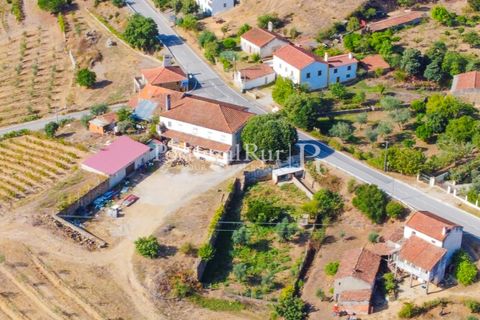 Farm i Macao, Santarem, Macao - € 330.000 | Ref: SA521 - foto 7