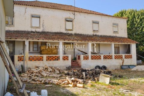Farm i Macao, Santarem, Macao - € 330.000 | Ref: SA521 - foto 8