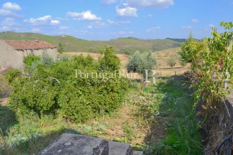 Farm i Macao, Santarem, Macao - € 330.000 | Ref: SA521 - foto 26