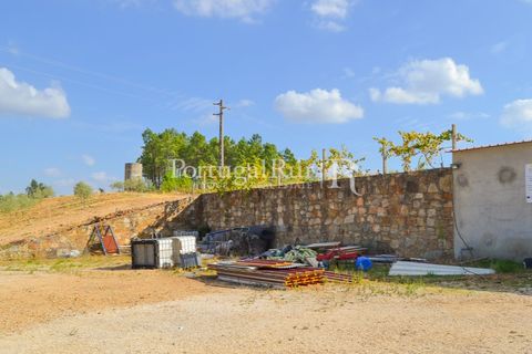 Farm i Macao, Santarem, Macao - € 330.000 | Ref: SA521 - foto 27