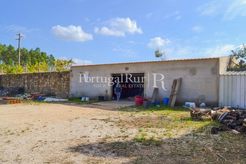 Farm i Macao, Santarem, Macao - € 330.000 | Ref: SA521 - foto 28
