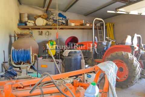 Farm i Macao, Santarem, Macao - € 330.000 | Ref: SA521 - foto 30