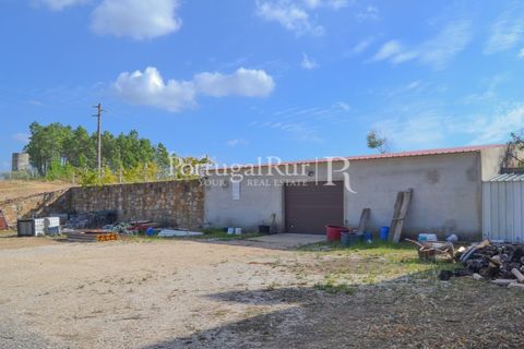 Farm i Macao, Santarem, Macao - € 330.000 | Ref: SA521 - foto 32