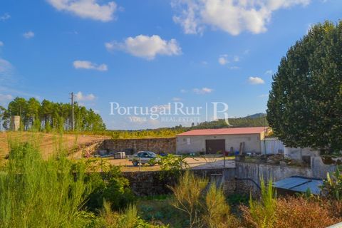 Farm i Macao, Santarem, Macao - € 330.000 | Ref: SA521 - foto 34