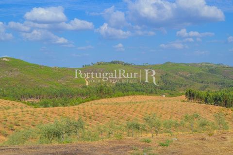 Farm i Macao, Santarem, Macao - € 330.000 | Ref: SA521 - foto 35