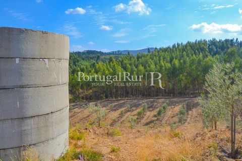 Farm i Macao, Santarem, Macao - € 330.000 | Ref: SA521 - foto 36