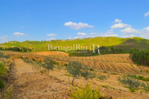Farm i Macao, Santarem, Macao - € 330.000 | Ref: SA521 - foto 39