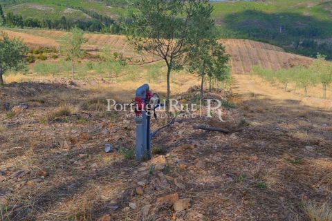 Farm i Macao, Santarem, Macao - € 330.000 | Ref: SA521 - foto 40