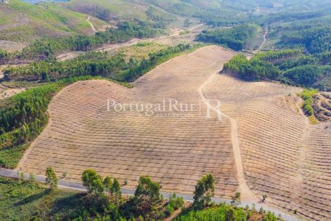 Farm i Macao, Santarem, Macao - € 330.000 | Ref: SA521 - foto 50