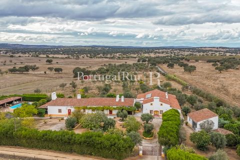 Farm i Alvito, Beja, Alvito - € 1.075.000 | Ref: FG249 - foto 3