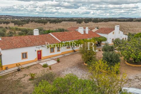 Farm i Alvito, Beja, Alvito - € 1.075.000 | Ref: FG249 - foto 7