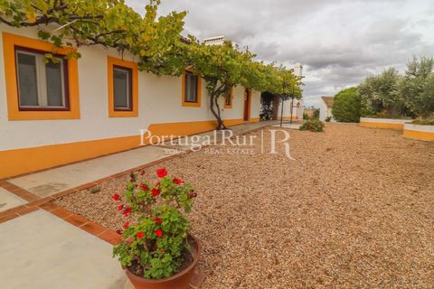 Farm i Alvito, Beja, Alvito - € 1.075.000 | Ref: FG249 - foto 11