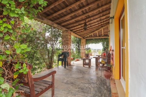 Farm i Alvito, Beja, Alvito - € 1.075.000 | Ref: FG249 - foto 12