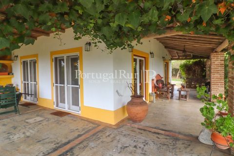 Farm i Alvito, Beja, Alvito - € 1.075.000 | Ref: FG249 - foto 13