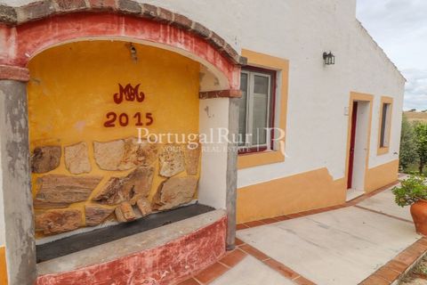 Farm i Alvito, Beja, Alvito - € 1.075.000 | Ref: FG249 - foto 25