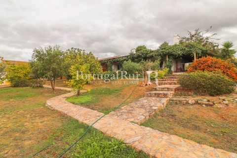 Farm i Alvito, Beja, Alvito - € 1.075.000 | Ref: FG249 - foto 50