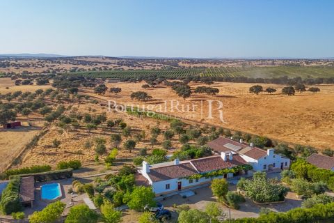 Farm i Alvito, Beja, Alvito - € 1.075.000 | Ref: FG249 - foto 2
