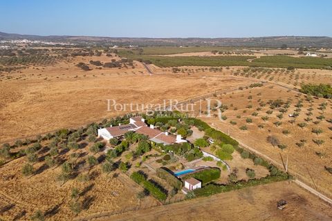 Farm i Alvito, Beja, Alvito - € 1.075.000 | Ref: FG249 - foto 4