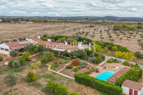 Farm i Alvito, Beja, Alvito - € 1.075.000 | Ref: FG249 - foto 6