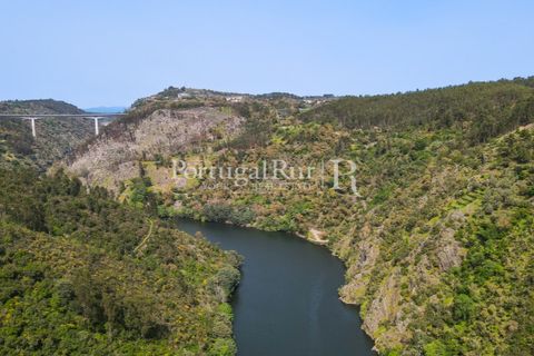 Granja a Serta, Castelo Branco, Serta - € 89.000 | Ref: FG738 - foto 3