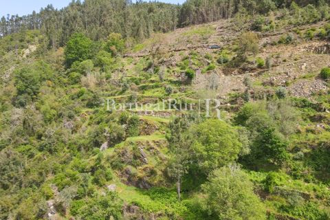 Granja a Serta, Castelo Branco, Serta - € 89.000 | Ref: FG738 - foto 4