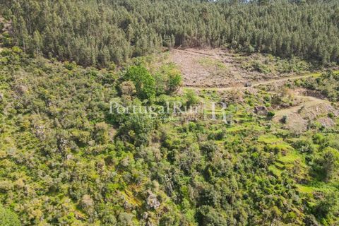 Granja a Serta, Castelo Branco, Serta - € 89.000 | Ref: FG738 - foto 5