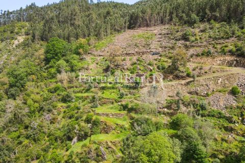 Granja a Serta, Castelo Branco, Serta - € 89.000 | Ref: FG738 - foto 6