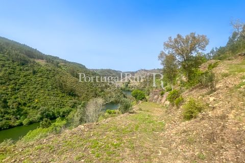 Granja a Serta, Castelo Branco, Serta - € 89.000 | Ref: FG738 - foto 7