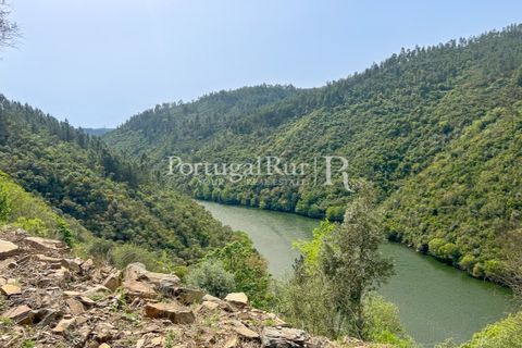 Granja a Serta, Castelo Branco, Serta - € 89.000 | Ref: FG738 - foto 8