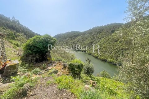 Granja a Serta, Castelo Branco, Serta - € 89.000 | Ref: FG738 - foto 9