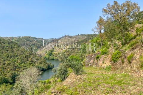 Granja a Serta, Castelo Branco, Serta - € 89.000 | Ref: FG738 - foto 10