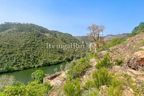 Granja a Serta, Castelo Branco, Serta - € 89.000 | Ref: FG738 - foto 11