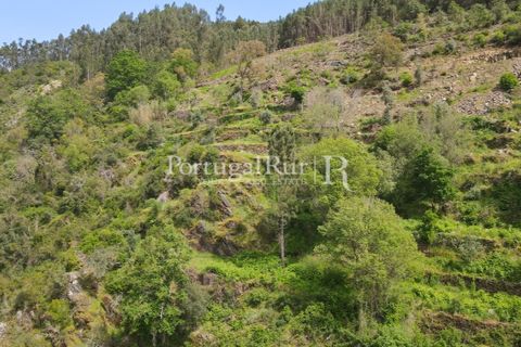 Granja a Serta, Castelo Branco, Serta - € 89.000 | Ref: FG738 - foto 12