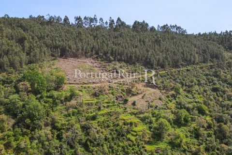 Granja a Serta, Castelo Branco, Serta - € 89.000 | Ref: FG738 - foto 13