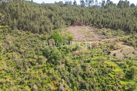 Granja a Serta, Castelo Branco, Serta - € 89.000 | Ref: FG738 - foto 15
