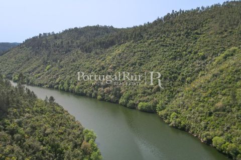 Granja a Serta, Castelo Branco, Serta - € 89.000 | Ref: FG738 - foto 18