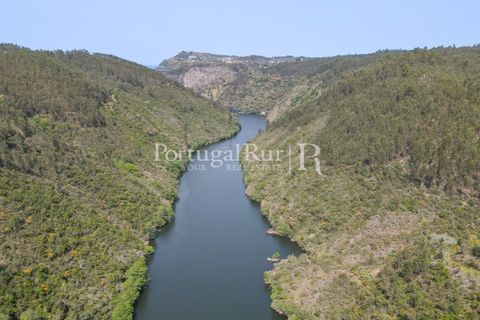 Granja a Serta, Castelo Branco, Serta - € 89.000 | Ref: FG738 - foto 19