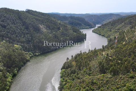 Granja a Serta, Castelo Branco, Serta - € 89.000 | Ref: FG738 - foto 20