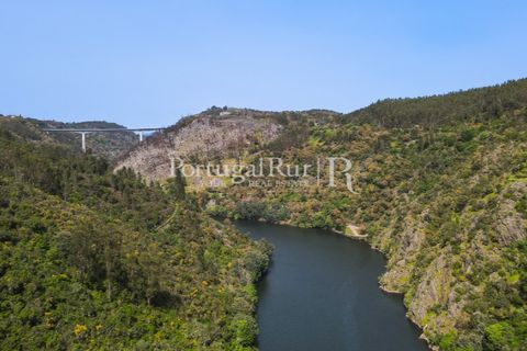 Granja a Serta, Castelo Branco, Serta - € 89.000 | Ref: FG738 - foto 21